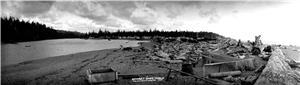 On a sand spit covered in driftwood, fishing nets are stretched between logs. In the background, wooden houses are nestled between a bay and a forest. 